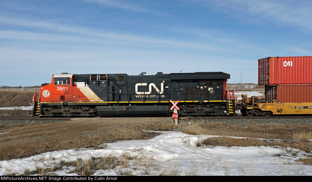 CN 3901